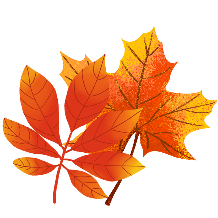 齊齊玩假期的季節限定｜線路特色